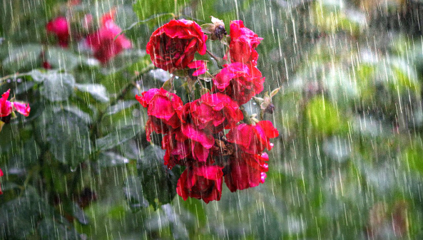 IPMA Coloca Distrito de Lisboa Sob Aviso Amarelo