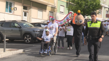 Cerciama Realiza Arruada e Assinala Início Campanha Pirilampo Mágico
